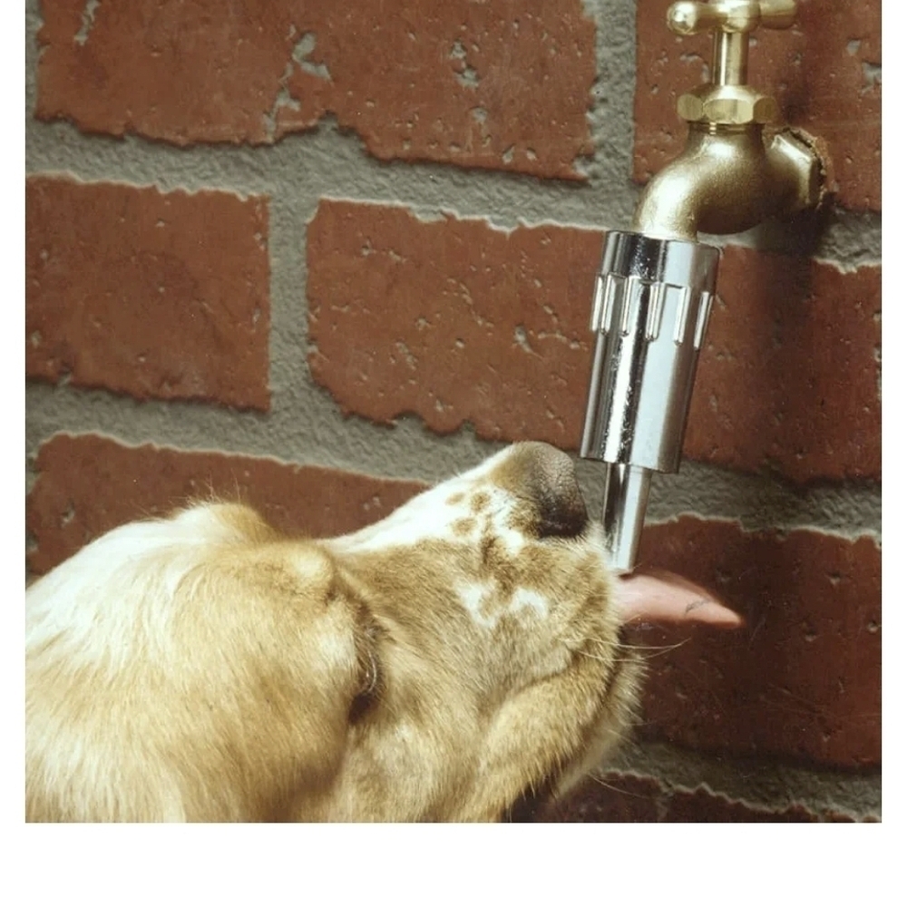 Lixit Pet Dog Waterer Faucet Outdoor Water Fountain Thirst Quencher